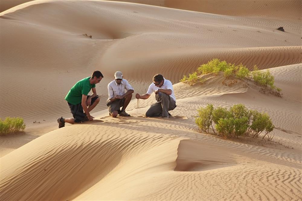 Qasr Al Sarab Desert Resort